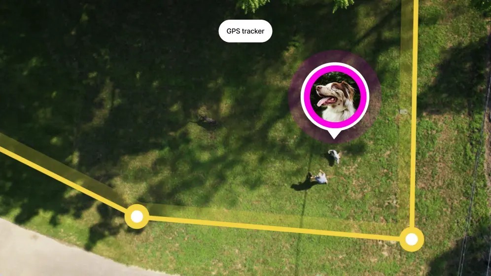 Live tracking in the Halo app
