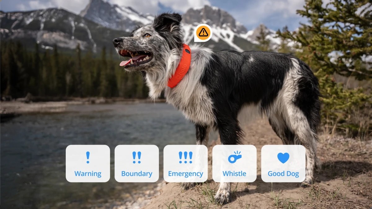 The Halo app screen that sets the collar’s feedback level, from a whistle to a boundary alert